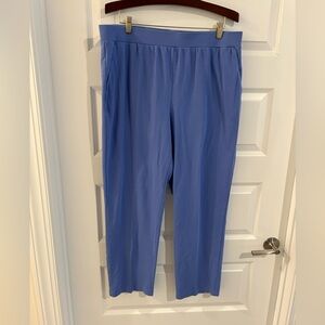 Appleseeds Pull On Pants Purple Size 1X